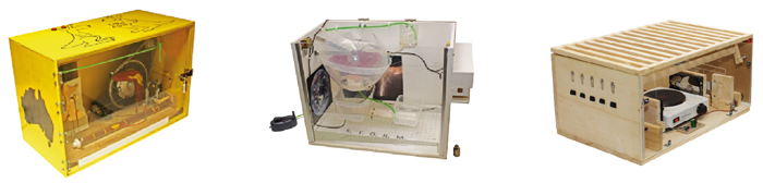 Srednja šola Črnomelj, Gimnazija Vič, Gimnazija Nova Gorica